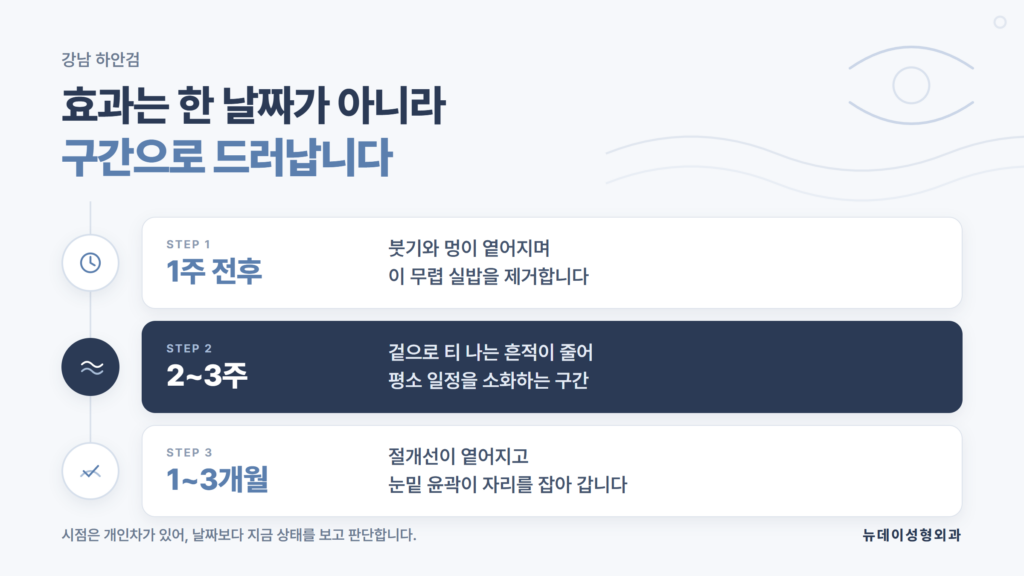 강남 하안검 수술 후 1주·2~3주·1~3개월 시점별 눈밑 변화를 정리한 뉴데이성형외과 자료 이미지