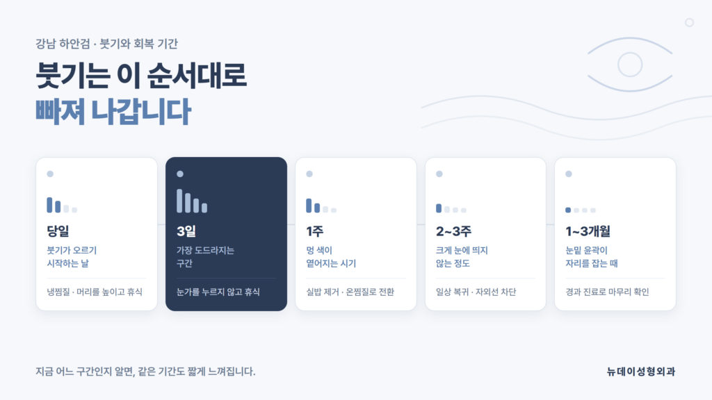 강남 하안검 수술 후 시기별 회복 기간과 붓기 관리 흐름을 정리한 뉴데이성형외과 자료 이미지