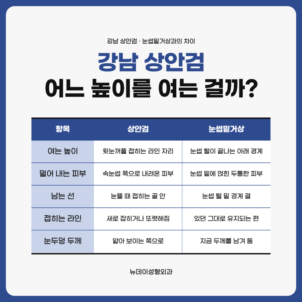 강남 상안검과 눈썹밑거상이 각각 어느 높이를 여는지, 덜어 내는 피부와 남는 선의 자리가 어떻게 갈리는지를 항목별로 견주어 정리한 뉴데이성형외과 자료 이미지